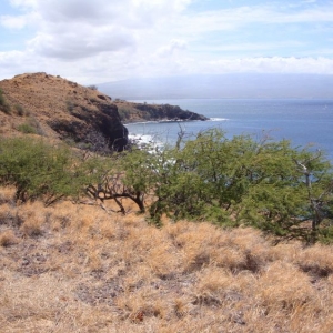 West Maui scenery