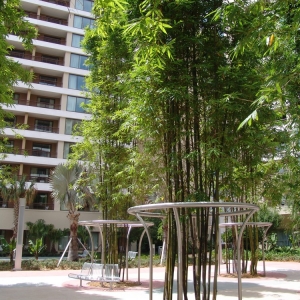 Bay_Lake_Tower_113