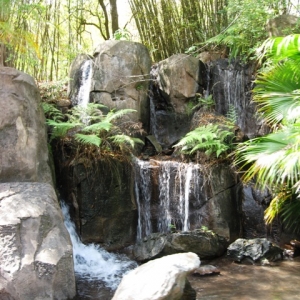 Animal Kingdom 3-09