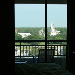 From the tub in the Master Bath