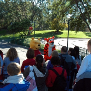 Rope Drop at Toontown - MK