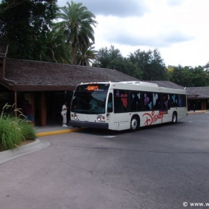 Animal_Kingdom_Lodge_87