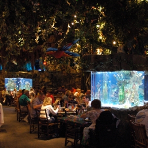 Rainforest Cafe Dining Area