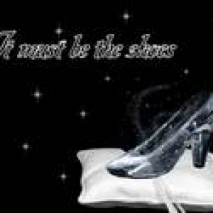 th_slipperpillow