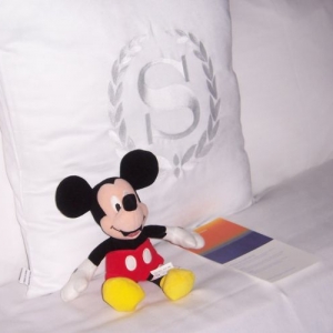 Sheraton 6