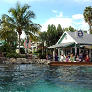 Dolphin Cove Feeding Station