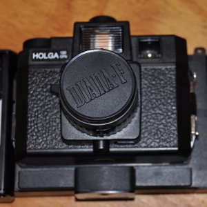 Holga with back