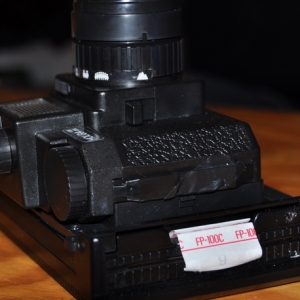 Holga