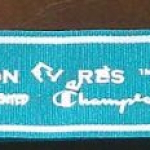 EE Challenge finishers medal lanyard