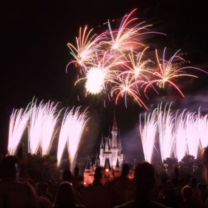 Media 'Wishes' in category 'Contest - Theme Park'