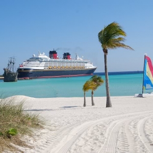 cruise891