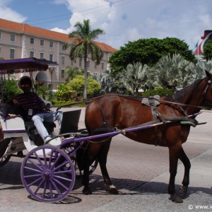 Nassau-Bahamas-40