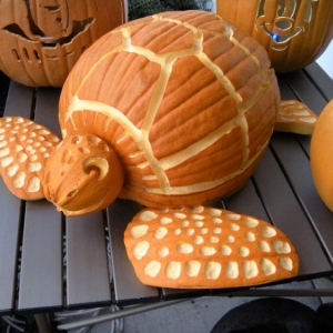 Halloween 2009