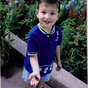 EpcotButterflies