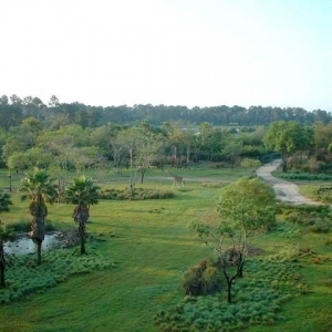 AKL032