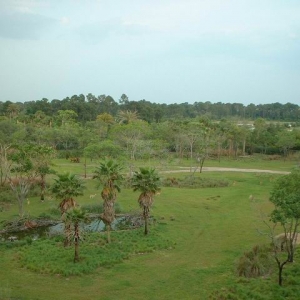 AKL035