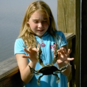 Hilton Head Oct 2004