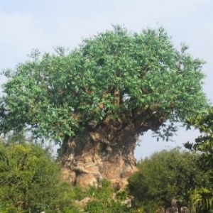 Tree_of_Life