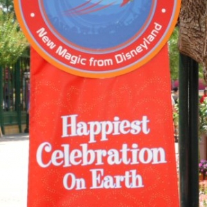 Soarin' banner