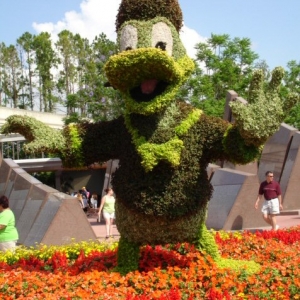 Donald topiary