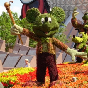 Mickey topiary