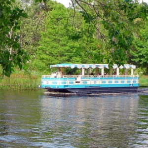 Ferry
