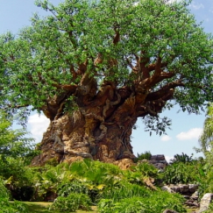 The Tree of Life