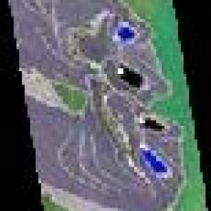 eel