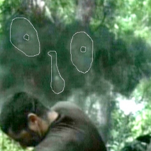 Lost_eyes