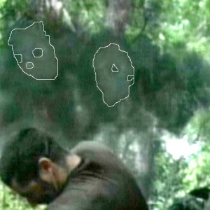Lost_faces