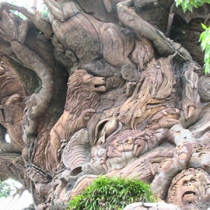 Tree of Life 2