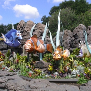NEMO