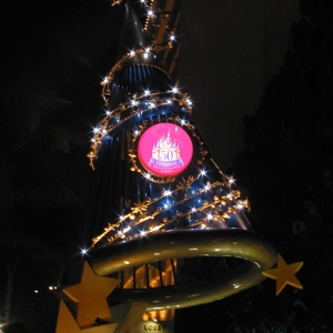 Disneyland Hotel Sorceror's Hat