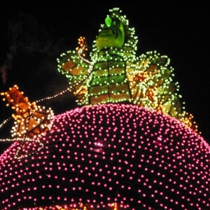 Disney's Electrical Parade 11