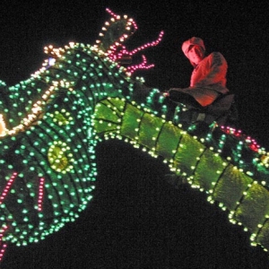 Disney's Electrical Parade 23