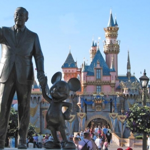 Sleeping Beauty Castle with Partners