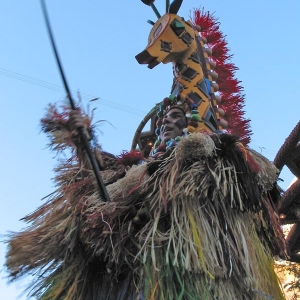 Disneyland Parade of Dreams 8