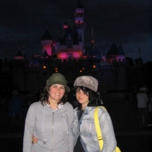 Disneyland Night Castle View