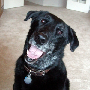 Sam1