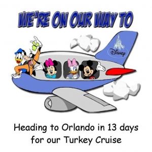 Airplaneturkey