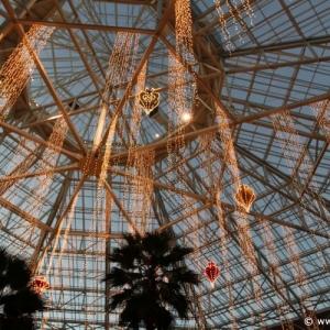 ICE_Gaylord_Palms_Resort_081