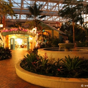 ICE_Gaylord_Palms_Resort_082