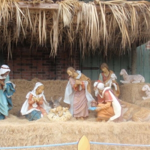 Nativity at Hollywood Studios
