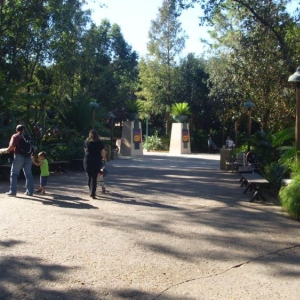 DSCI0118