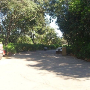 DSCI0121