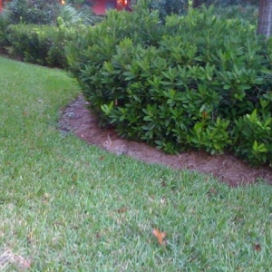 s_Bunny_sighting