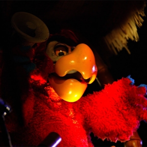 Iago in the Tiki Room