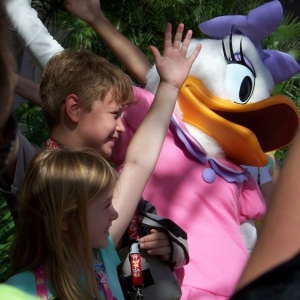 Meet Daisy Duck