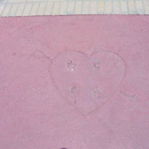 Lady & Tramp heart