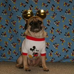 Rocky 2005